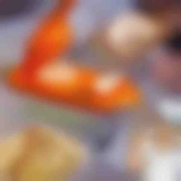 Máquina de fazer bolinhos 2 em 1 | DUMPLINGER