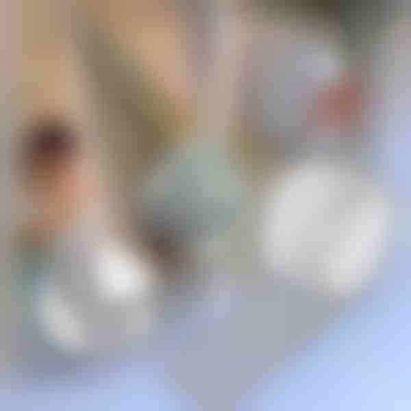 Fita de reparação para redes mosquiteiras | INSECTAPE