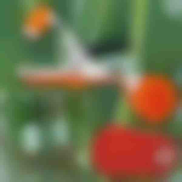 Máquina profissional de amarração de plantas | PLANTBRAND