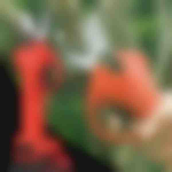 Tesoura eléctrica | WHIZZPRUNER