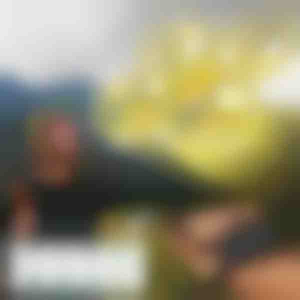 Minidrone manual FLASH