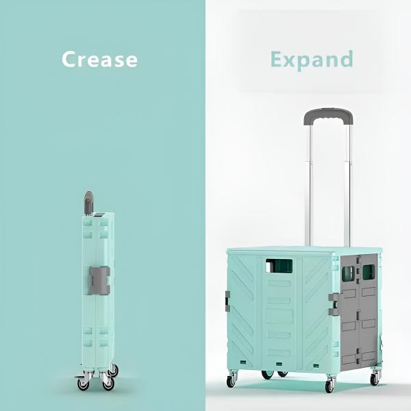 Carrinho multifunções | CARRYMAX