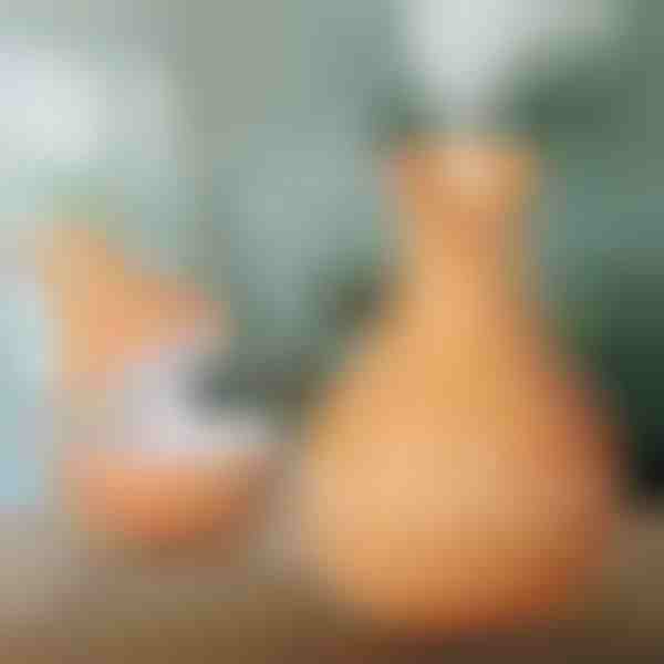 Humidificador de madeira | HUMISTER