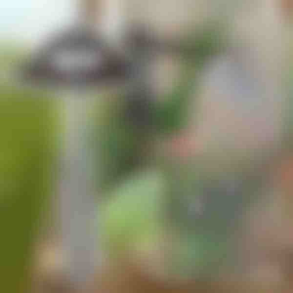 Enxada de jardim para remoção fácil de ervas daninhas | GRASSOE