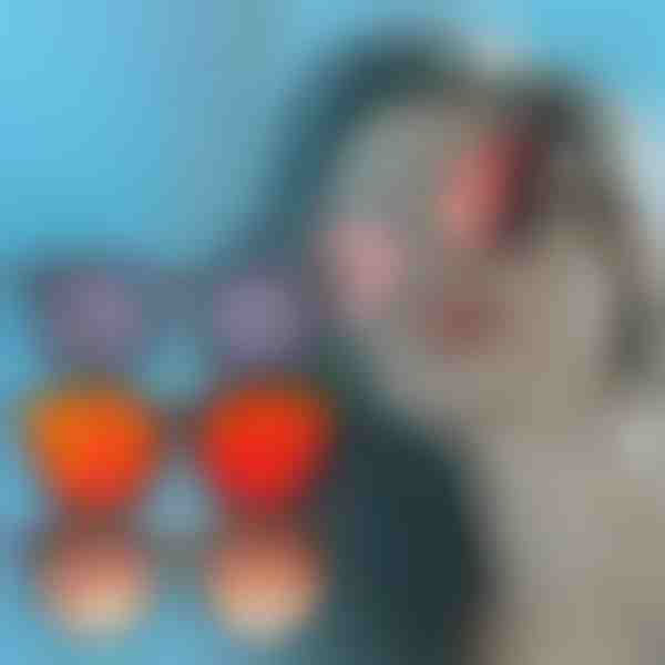 Óculos de sol | MADSUN