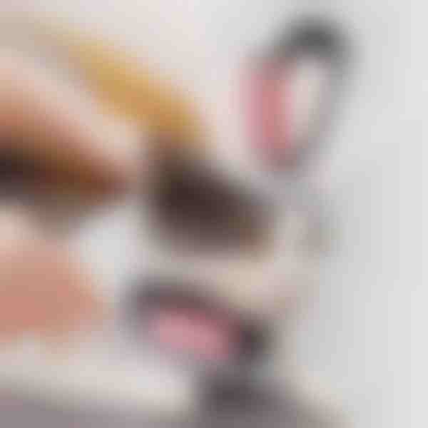 Escova 2 em 1 para Animais de Estimação | GATOBRUSH