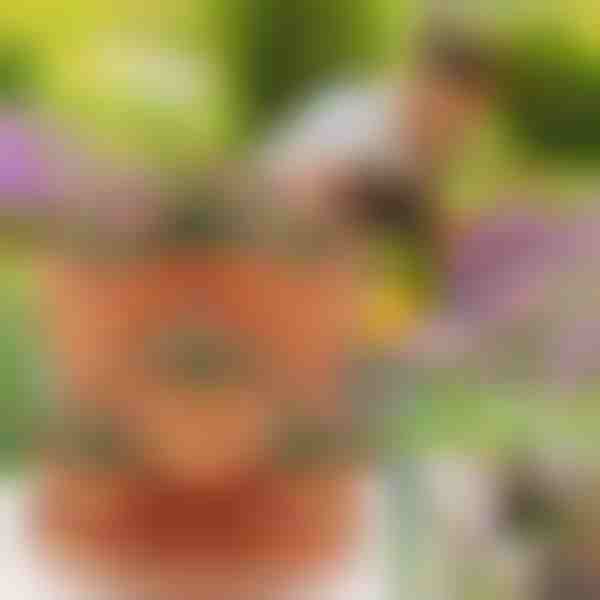 Vasos para flores reguláveis (3x peças) | PLANTUP