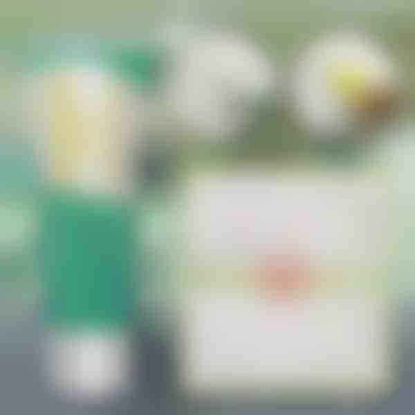 Solução instantânea para reparar paredes | WALLFIX