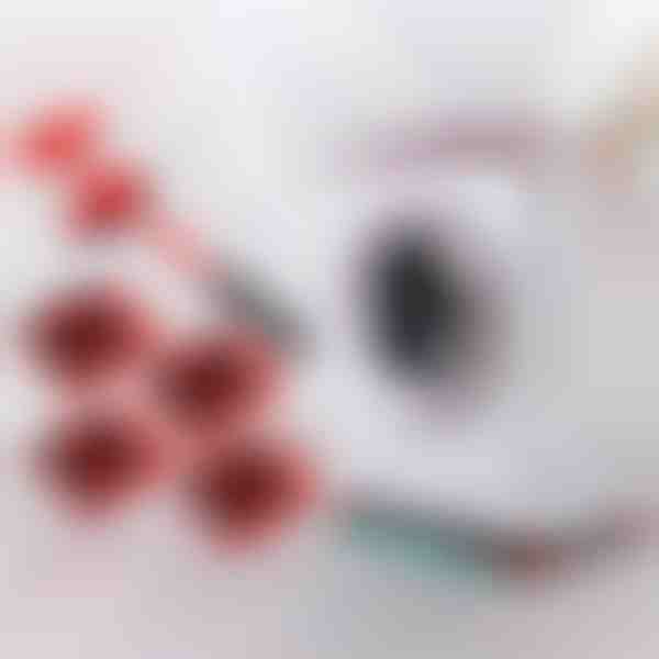 Conjunto para deslocação de móveis com 4 corrediças e elevador | LIFTROLLERS