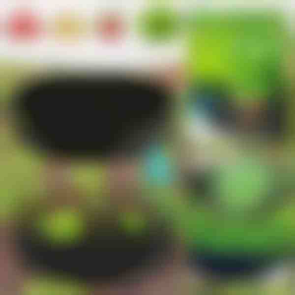 Jardim ecológico para suas plantas | PLANTIE