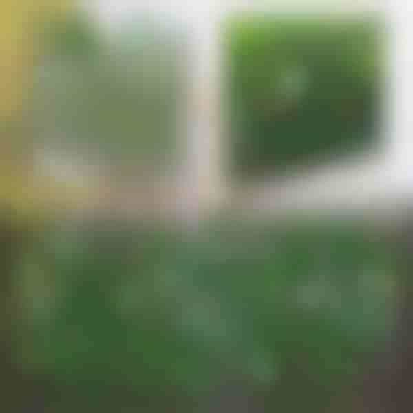 Cerca decorativa e prática para terraço ou jardim | GREENFENCE