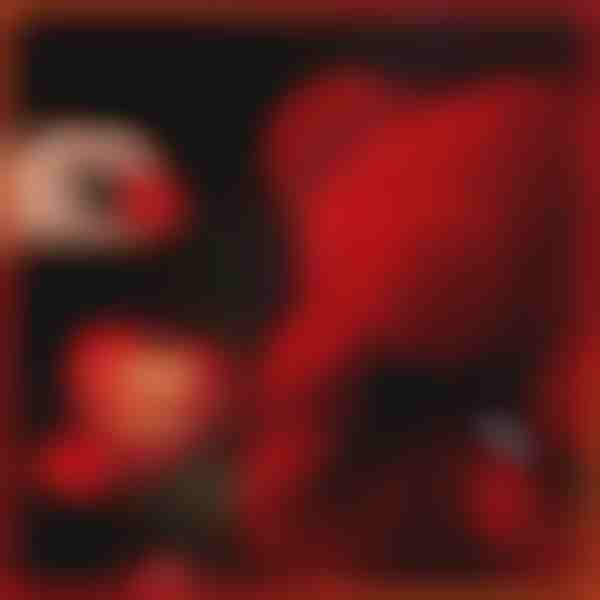 O presente que fala amor | LOVEBEAR