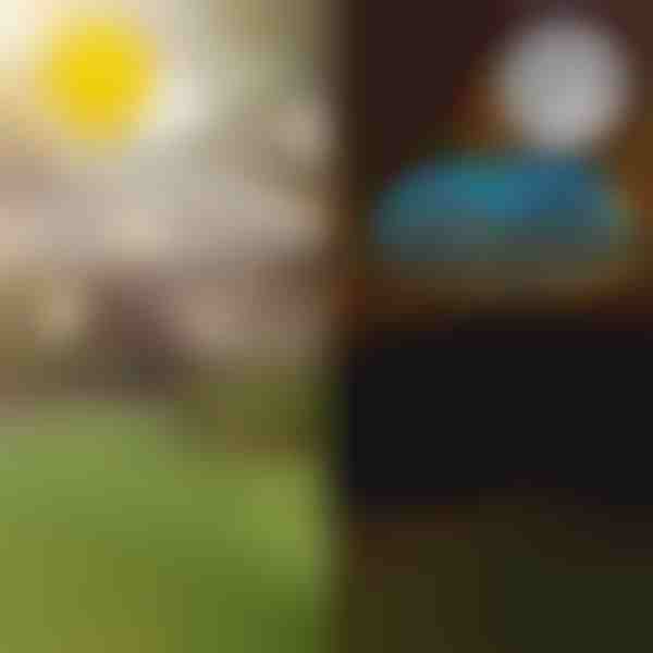 Luzes solares para um jardim tropical | LUMIPALM