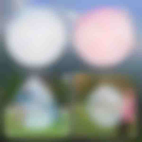 Bolha Inflável Multifuncional | SLIMEBUB