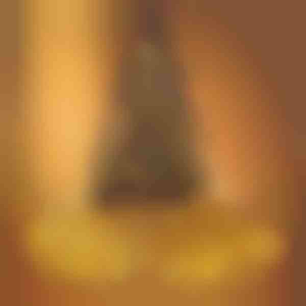 Luzes de árvore de Natal | IZIGLOW