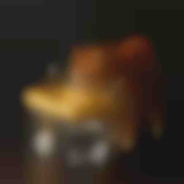 Fonte de Hidratação para Animais de Estimação | PETSPRINGLE