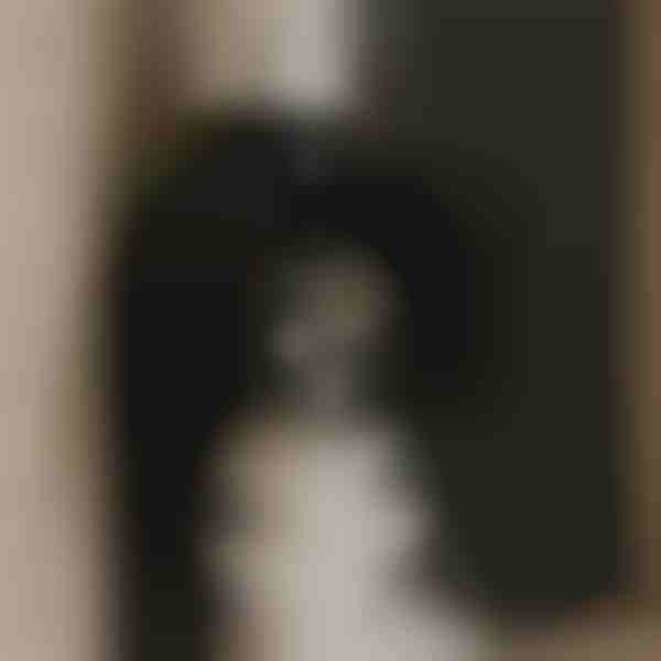 Ventoinha de extração potente para ar limpo | VENTORIS