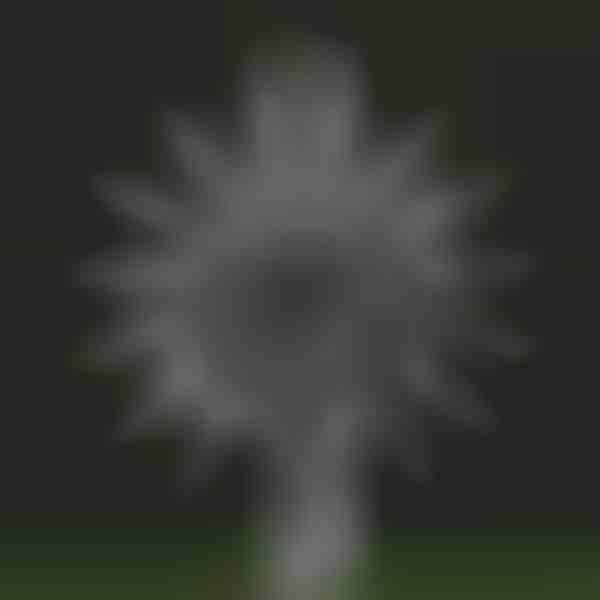 Cata-vento cinético mágico de jardim | WINDARA