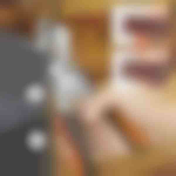 Ferramenta de reparação de ilhós - cintos, malas e lonas + 100 anéis de metal | HOLANKO